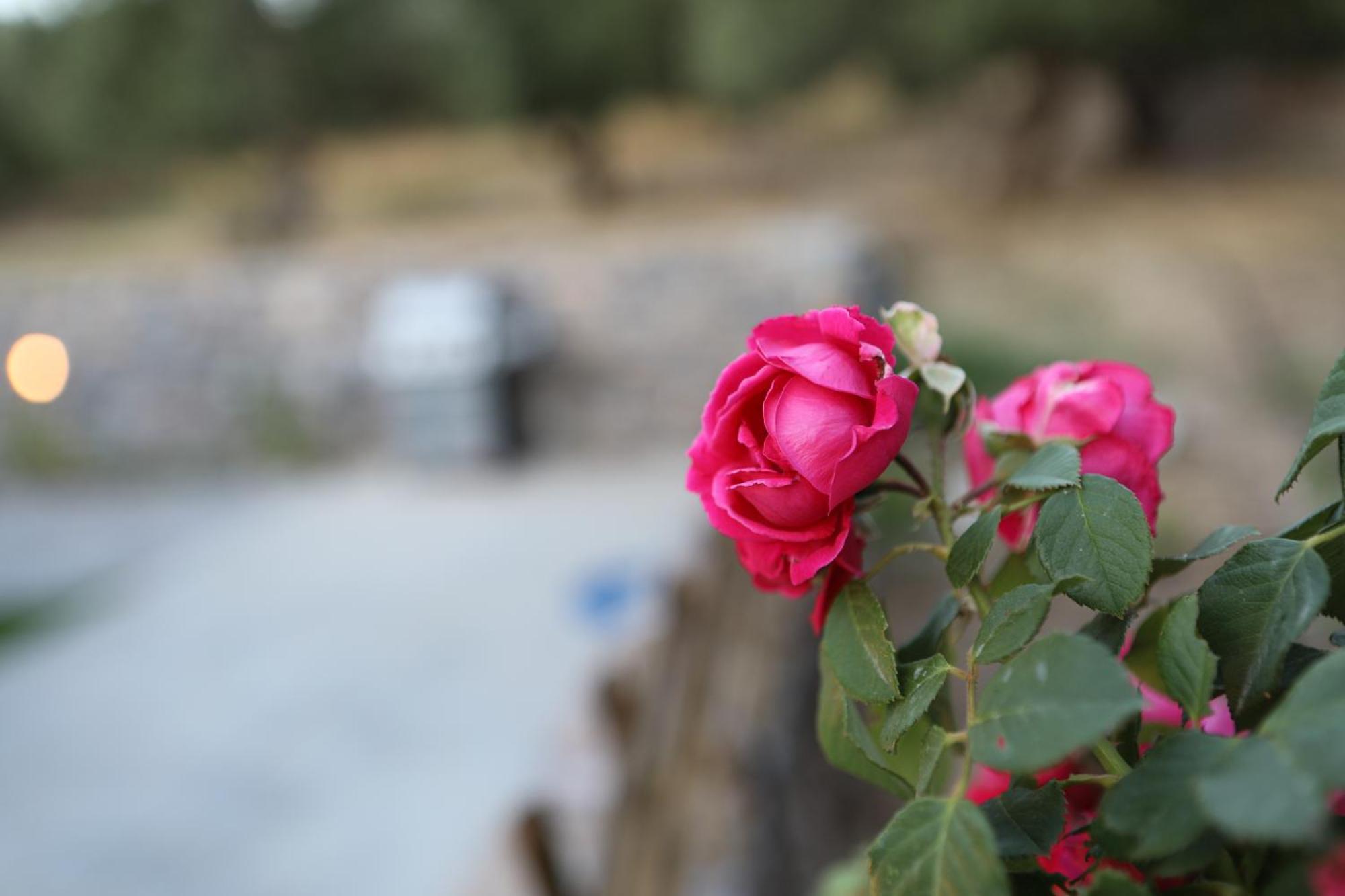 Villa Drosia - Nature Getaway! Πλακιάς Εξωτερικό φωτογραφία